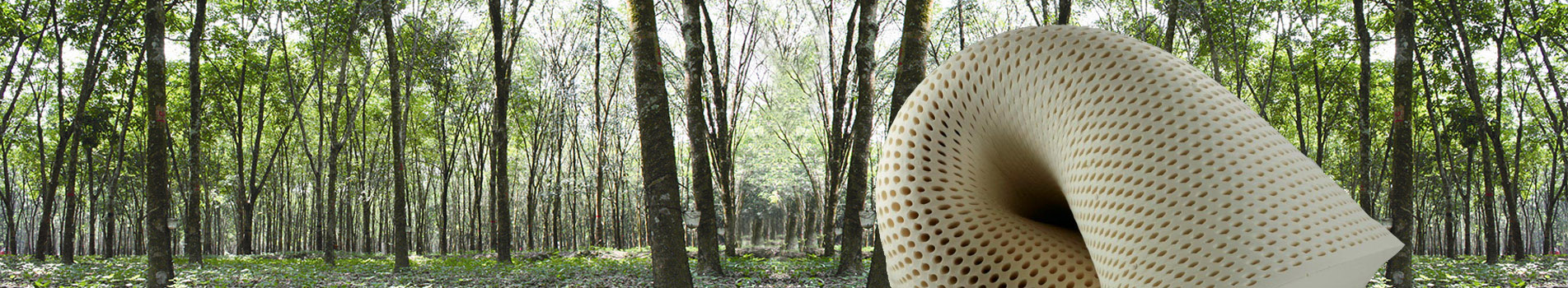 FlexibleLatexNewBanner