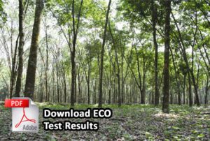 eco test result